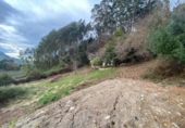 Non-developable land for sale on España, Gijón, ref: TR241817 photo