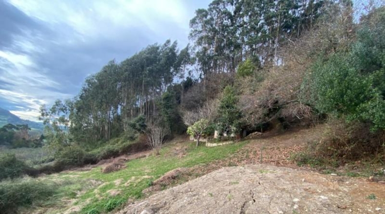 Asturias - Gijón - 6900m2