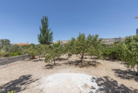 Arenas del Rey 567&nbsp;m² 