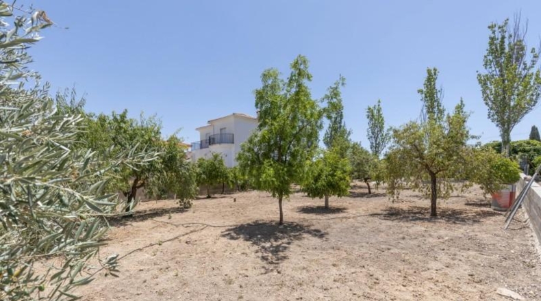 Granada - Arenas del Rey - 567m2