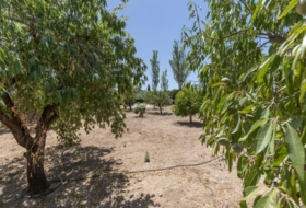 Arenas del Rey 567&nbsp;m² 