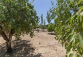 Sòl urbà en venda a la España, Arenas del Rey, ref.: TR238175 foto