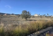 Sòl urbà en venda a la España, Campos del Río, ref.: TR372428 foto