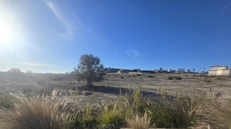 Múrcia - Campos del Río - 2000m2