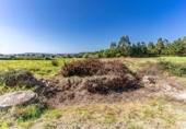 Parcel·la urbanitzable en venda a la España, Malpica, ref.: TR338121 foto