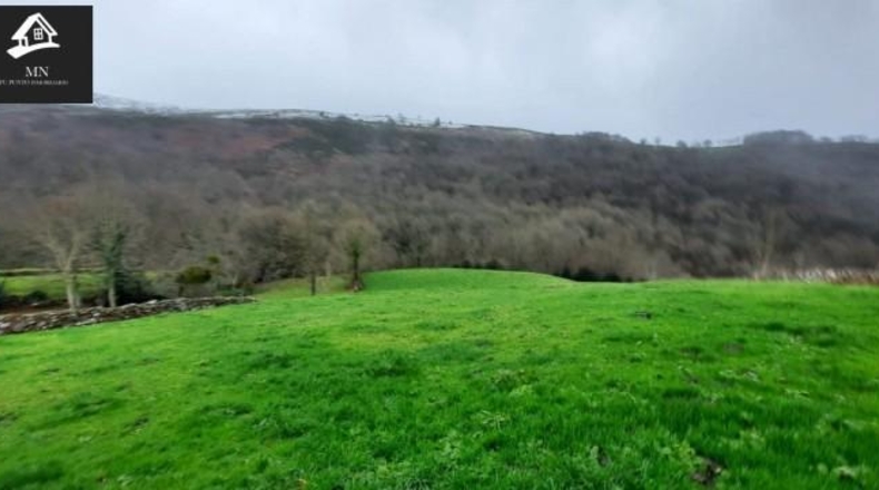 Cantabria - Carrascal de San Miguel - 15375m2