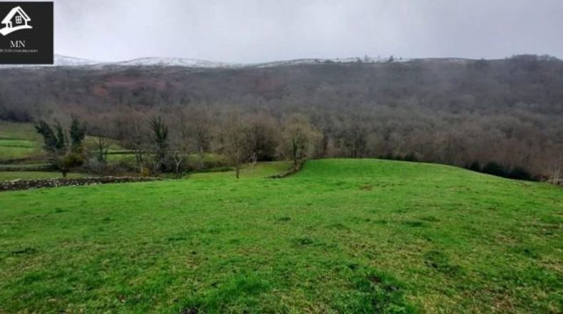 Cantabria - Carrascal de San Miguel - 15375m2