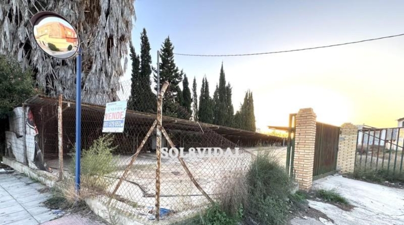 Alicante - Orihuela - 789m2