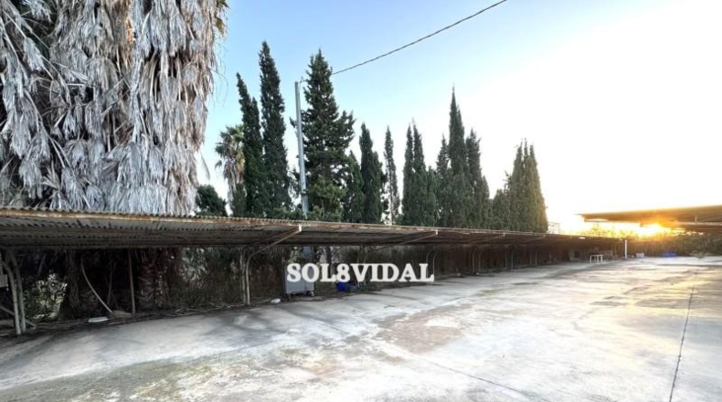 Alicante - Orihuela - 789m2