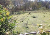 Non-developable land for sale on España, Os Garabatos, ref: TR311625 photo