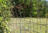 Non-developable land for sale on España, Os Garabatos, ref: TR311625 photo