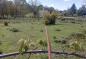 Non-developable land for sale on España, Os Garabatos, ref: TR311625 photo
