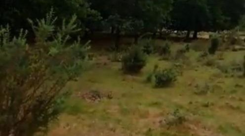 Orense - Os Garabatos - 4000m2