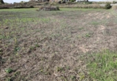 Terreno no urbanizable en venta en la España, Alcañiz, ref: TR361188 foto