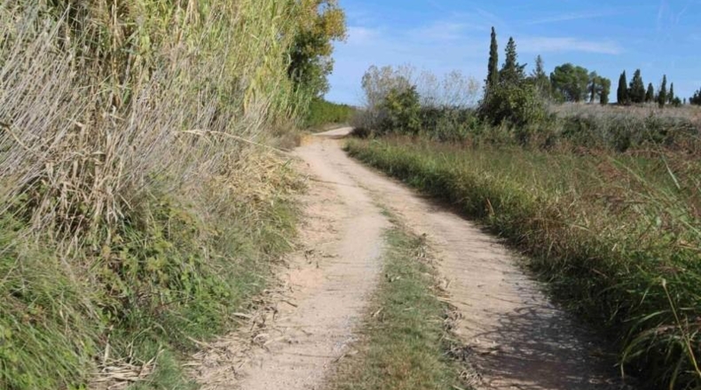 Teruel - Alcañiz - 5469m2
