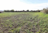 Terreno no urbanizable en venta en la España, Alcañiz, ref: TR361188 foto