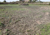 Terreno no urbanizable en venta en la España, Alcañiz, ref: TR361188 foto