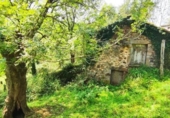 Casa de poble en venda a la España, Selaya, ref.: TR353100 foto