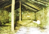 Casa de poble en venda a la España, Selaya, ref.: TR353100 foto