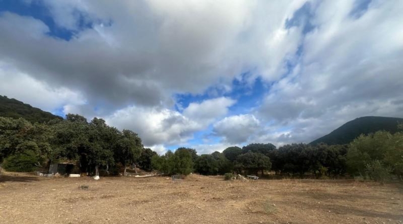 Cádiz - El Bosque - 3600m2