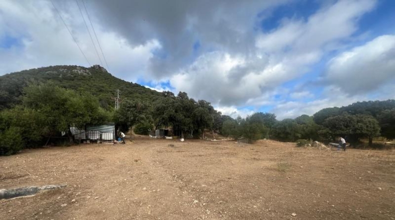 Cádiz - El Bosque - 3600m2