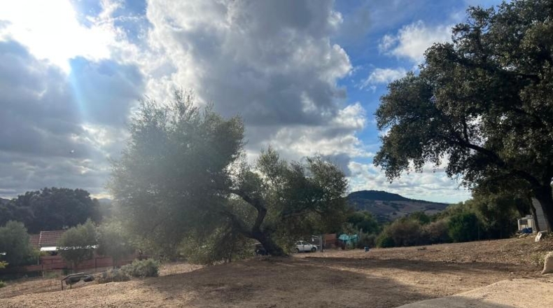 Cádiz - El Bosque - 3600m2