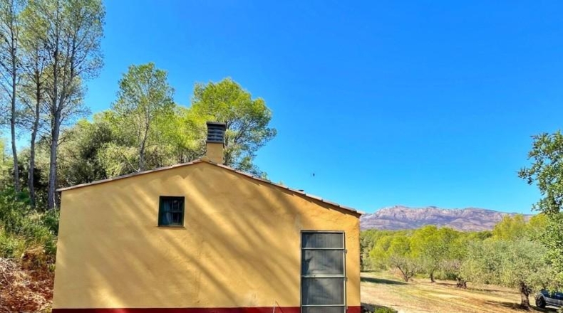 Tarragona - Aldover - 14993m2