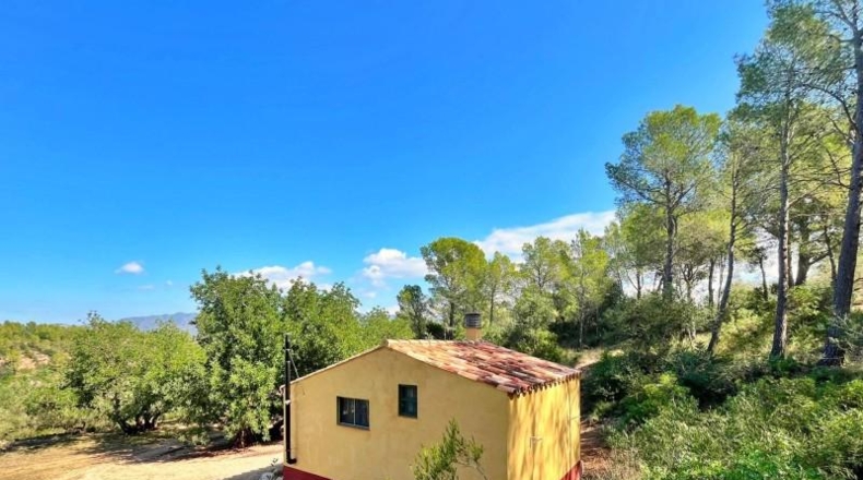 Tarragona - Aldover - 14993m2