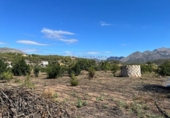 Terreny no urbanitzable en venda a la España, Polop, ref.: TR218503 foto