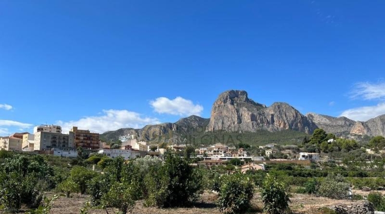 Alicante - Polop - 1914m2