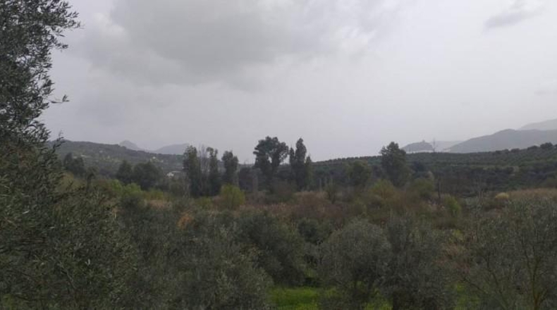Cádiz - Algodonales - 29000m2
