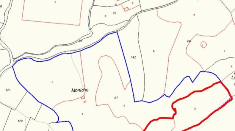 Cádiz - Algodonales - 29000m2