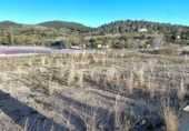 Sòl urbà en venda a la España, el Perelló, ref.: TR306386 foto