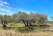 Terreny no urbanitzable en venda a la España, el Perelló, ref.: TR121648 foto