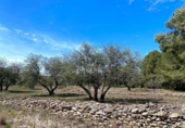 Terreny no urbanitzable en venda a la España, el Perelló, ref.: TR121648 foto