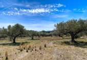 Terreny no urbanitzable en venda a la España, el Perelló, ref.: TR121648 foto