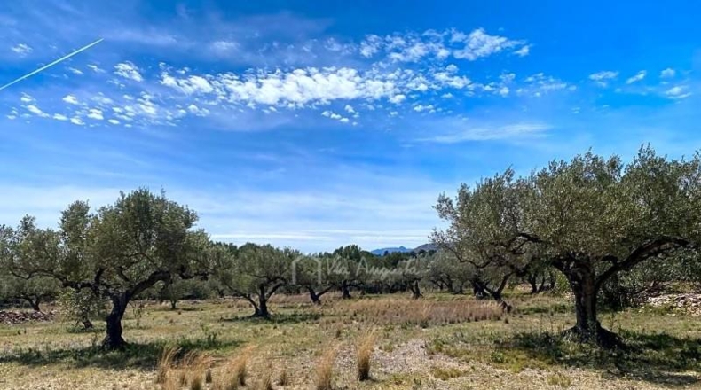 Tarragona - el Perelló - 37292m2