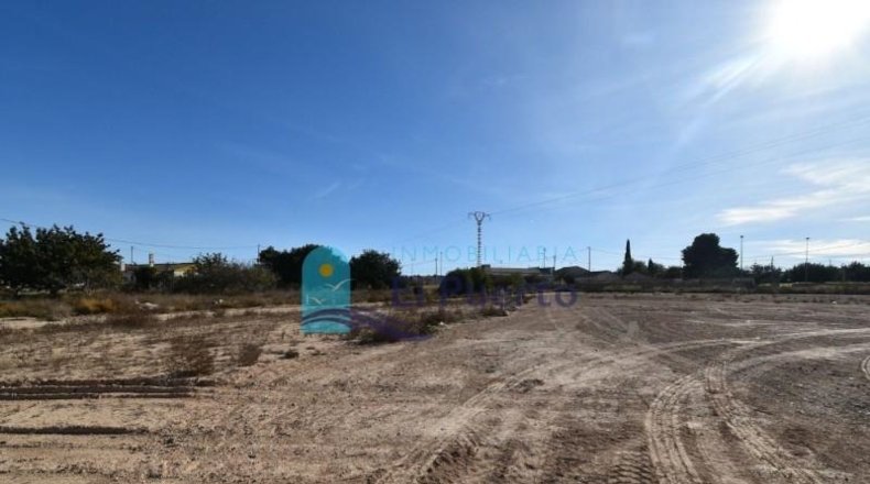 Múrcia - Totana - 1548m2