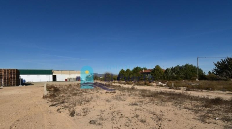 Múrcia - Totana - 1548m2