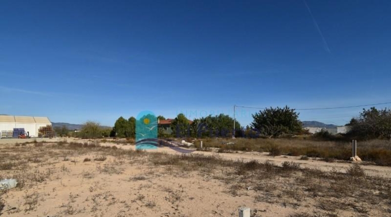Múrcia - Totana - 1548m2