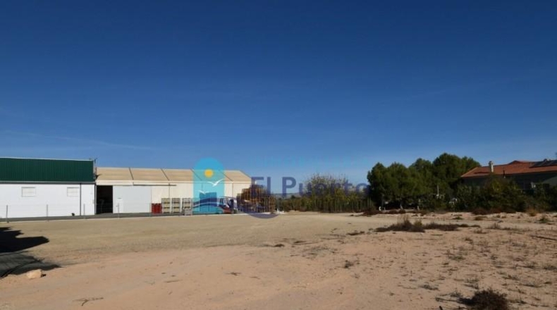 Múrcia - Totana - 1548m2