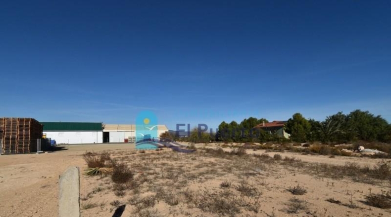 Múrcia - Totana - 1548m2