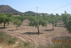 Foto 7