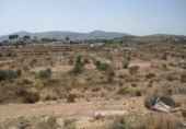 Finca rústica en venda a la España, Monòver, ref.: TR293682 foto