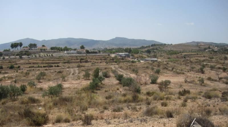 Аликанте - Monóvar - 23000m2