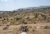 Finca rústica en venda a la España, Monòver, ref.: TR293682 foto