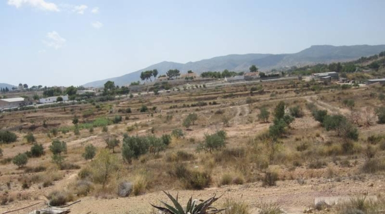 Аликанте - Monóvar - 23000m2