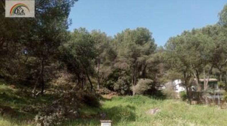 Córdoba - Córdoba - 3000m2