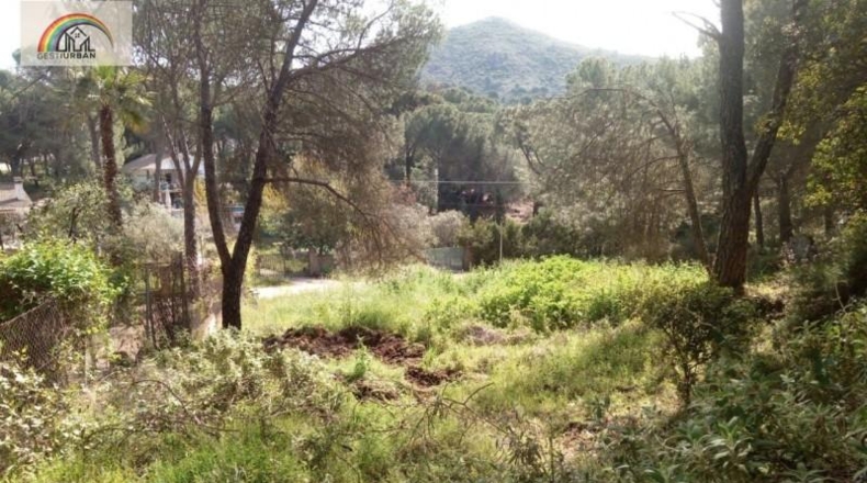 Córdoba - Córdoba - 3000m2
