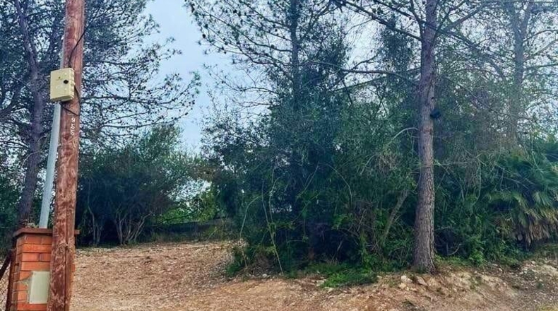 Barcelona - Olivella - 895m2